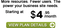 Business Web Hosting