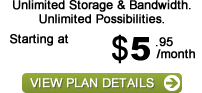 Unlimited Web Hosting