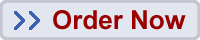 Order Our Webmaster Server