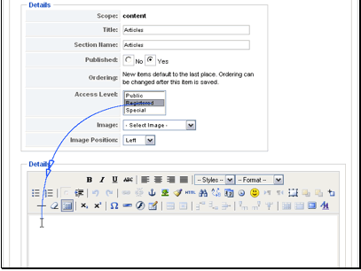 Fill out a description to use for your new section.