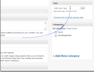 Then you can add tags to your blog. These should be short strings that identify topics covered in your post. Separate multiple tags with commas.