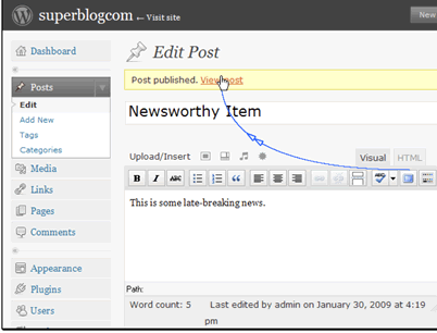 Let's go see our blog on the frontend.