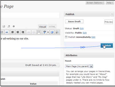 When everything is setup click the Publish button.